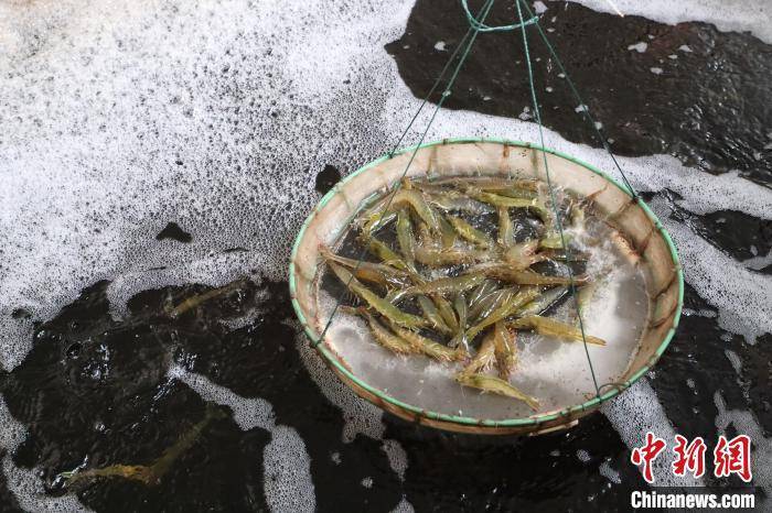 🌸【管家婆一肖一码】🌸_促进中国餐饮业职业教育国际化，“职教出海，美食同行”大会举办  第3张