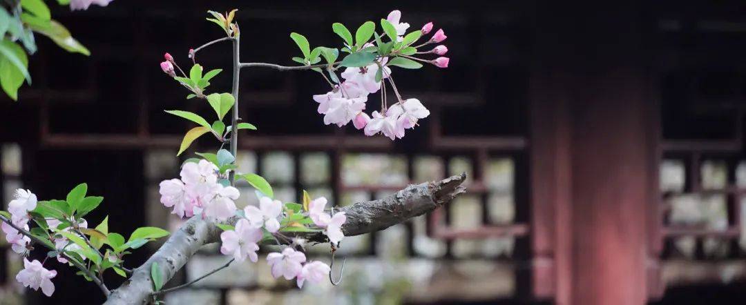 🌸【管家婆一码一肖资料大全】🌸_近三年新高！财新中国制造业PMI连续八个月高于荣枯线，显示制造业生产经营活动扩张加速  第3张