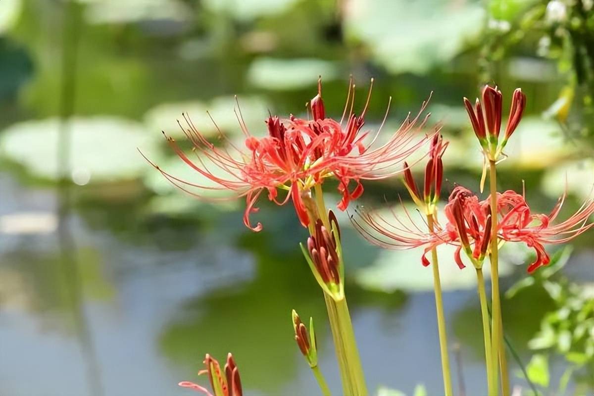 🌸【澳门一码一肖一特一中交易】🌸_天眼早新闻 6月26日