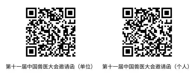 🌸【2024新澳彩料免费资料】🌸_中国金融监管报告：当前我国金融业正处于数字化转型重要阶段