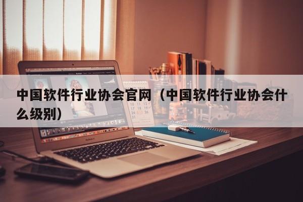 中国软件行业协会官网（中国软件行业协会什么级别）