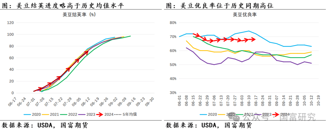 【USDA】8月报告：新作产量超预期，美豆维持偏弱走势  第4张